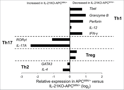 Figure 2. Deficiency of IL-21 in APCMIN/+ mice intestine favors increased expression of Th17-associated transcripts and a decrease in Th1-associated transcripts. Gene expression was determined by qRT-PCR on 15-week-old mouse ileum (n = 4 per group).