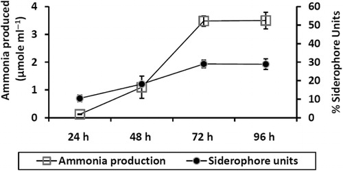 Figure 7. Production of ammonia in peptone water broth and siderophore production in iron free MM9 medium supplemented with 1% glucose.