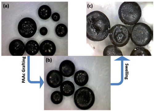 Figure 6. Wax pellet nanocomposites of (a) irradiated (PE/Fe3O4); (b) unswelled (PE-g-PAAc)/Fe3O4; (c) swelled and expanded (PE-g-PAAc)/Fe3O4.
