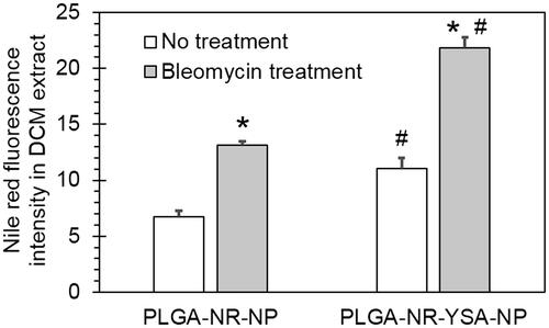 Figure 4. Effect of bleomycin pre-treatment on nanoparticle uptake by human umbilical vein endothelial cells (HUVEC) cells. Spectrofluorometric quantification of 3-h uptake of 0.5 mg/ml PLGA- nanoparticles with and without functionalization by YSA peptide. Data shows Nile red fluorescence in DCM extract of HUVEC cell lysate normalized to protein concentration with or without a 48-h pretreatment with 25 µg/ml bleomycin. Data represents mean ± SD for n = 3. *p < .0001 compared to the corresponding no treatment group. #p < .001 compared to the corresponding PLGA-NR-NP group. DCM: dichloromethane; PLGA: poly (dl-lactide-co-glycolide).