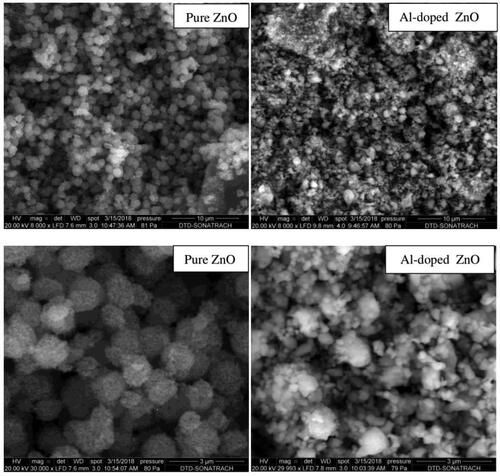 Figure 2. SEM images (with two different magnifications) of undoped and Al-doped ZnO aerogels synthesized in supercritical isopropanol.