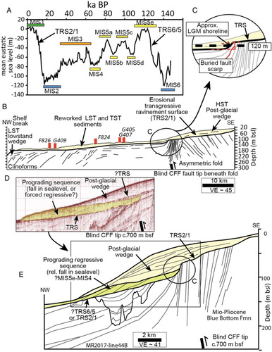 Figure 4. Interpretation of the geometry of late Quaternary sedimentary sequences above the Cape Foulwind Fault (CFF). A, Major glacio-eustatic sea-level cycles since 140 ka (e.g. Pillans et al. Citation1998) correlated to marine oxygen isotope stages (MIS) (Imbrie et al. Citation1984). TRS2/1 and TRS6/5 are the last two shelf-wide marine transgressive surfaces. B, Line drawing interpretation of boomer seismic data, modified from Van der Linden and Norris (Citation1974) (section location on Figure 2A). LST: prograding clinoforms of the lowstand systems tract (MIS2, MIS6); TST: transgressive systems tract; HST: highstand systems tract. Sediment cores (Norris Citation1972) are shown as red bars with labels; samples G409, F824, G407 and G405 are projected approximately alongstrike onto the section (see locations on Figure 2A). C, Enlargement of buried geomorphic scarp associated with the fault-related monocline above the Cape Foulwind Fault, showing the footwall and hanging-wall surface projections used to estimate scarp vertical relief on profiles. Along this section the scarp is close to the approximate location of the last glacial maximum (LGM) shoreline; its height may therefore have been influenced by erosion. D, seismic data reported by Stevenson (Citation2008; modified from his figure 21) from offshore of Greymouth. TRS: transgressive surfaces. The location of the section is approximately equivalent to the box in part E. E, Our interpretation of late Quaternary sedimentary sequences in a line drawing of sparker seismic profile MR2017-44B by Alpine Geophysical Associates (Citation1968). The location of the blind Cape Foulwind Fault is from multichannel seismic data.