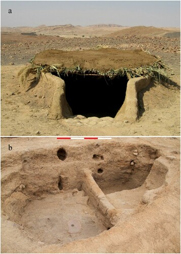 Figure 20 (a) Reconstruction of Structure of O45 (photo: B. Finlayson); (b) Structure O12, showing intrusions into mud pisé that may have been used for a ladder.