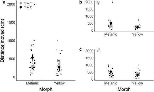 Figure 6. a) Total distance moved (cm) by melanic (nfemale = 9, nmale = 11) and yellow (nfemale = 7, nmale = 9) Hemideina maori during 15-minute trials. b) Total distance moved by female wētā and c) total distance moved by male wētā. Plots separate trial one (gray) and two (black). Means and standard error of means are represented.