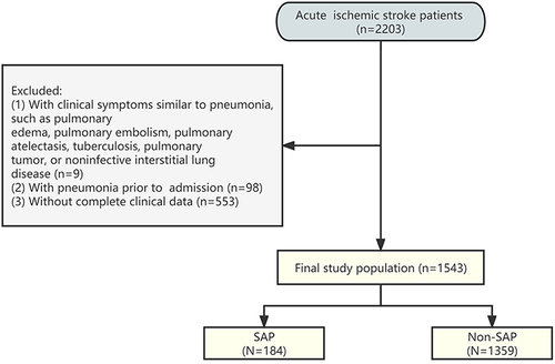 Figure 1 Flowchart of the patient selection process.