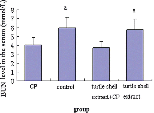 Figure 6.  Effect of pre-treatment with turtle shell extract (220 mg/kg BW, p.o. for 29 days) on the serum BUN level in normal and CP-treated mice. Values are means±SE (n=6). (a) Indicates that, when compared with control mice, the serum BUN level of CP and extract + CP-treated mice were all significantly decreased (both p<0.05).