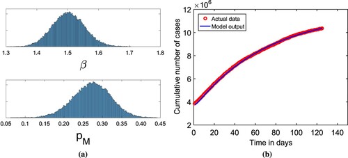 Figure 3. (a) The histogram of MCMC chain for parameters β and pM with 100, 000 sample realizations. (b) Fitting results of reported cases for India to the model output.