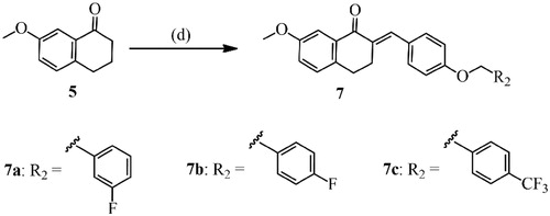 Scheme 2 Synthetic route of compounds 7a-c. Reagents and conditions: (a) aldehyde, 20% NaOH (aq.), MeOH, 25 °C, 3‒5 h.