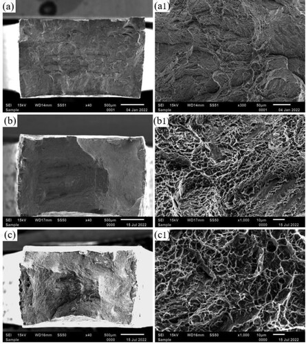 Figure 18. SEM images of fracture surfaces of tensile test specimens from the as-fabricated B3 sample and heat-treated samples: (a) and (a1) as-fabricated, (b) and (b1) annealed at 800°C, (c) and (c1) annealed at 900°C.