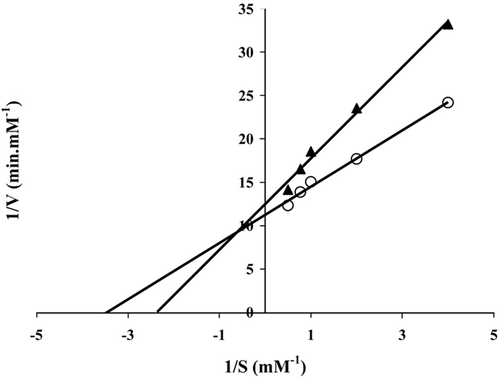 Figure 6. Lineweaver–Burk plots of free (-O-) and immobilized (-限-) lipases.