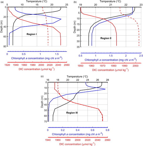 Fig. 5 Vertical profiles of temperature (black curves; °C), chlorophyll a concentration (blue curves; mg chl a m−3), and DIC concentration (μmol kg−1) obtained from the reference (solid red curves) and sensitivity (dashed red curves) experiments at three representative sites (red stars in Fig. 1) (a) Region I, (b) Region II, and (c) Region III.