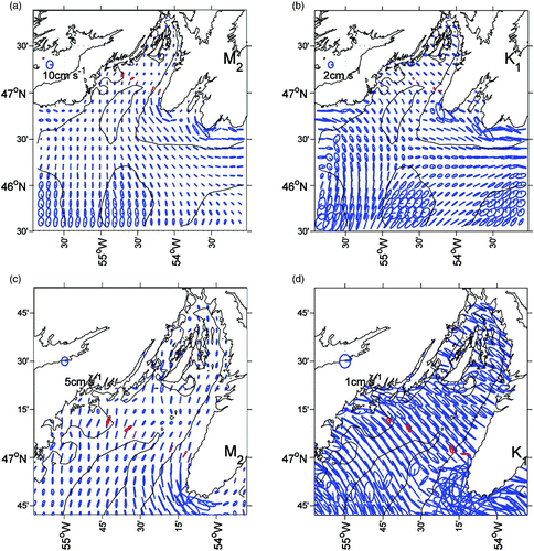 Fig. 4 Near-surface (a) M2 and (b) K1 tidal current ellipses for the entire model domain, with corresponding close-ups (c) and (d) for the bay area. The 100 m and 200 m isobaths are displayed as black lines. Observations are in red. Note that the scales are different among the panels.