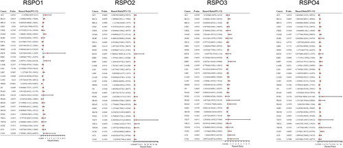 Figure 5. Univariate cox analysis results of RSPOs in multiple tumors. Forest plot: The p-value, risk coefficient (HR), and confidence interval of RSPOs in multiple tumors are analyzed by univariate cox regression.