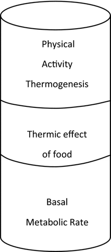 Figure 1 Components of total energy expenditure (TEE). To increase TEE, one of the three components must be directly increased. Basal metabolic rate is associated with fat free mass and age. Thermic effect of food is reliant upon the amount of food ingested and the macronutrient composition of the diet. Therefore, the most predictable way to increase TEE is to increase physical activity.