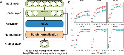 Figure 3. Schematic illustration of the DeepDRU model. (a) The DeepDRU model used in this study is a sequential DNN model of multiple dense layers. After careful verification of the number of dense layers and units per layer, we used a sequential model of eight dense layers of 512 units. More details can be found in the description of the method. (b) Tenfold cross-validation was performed on models constructed with different numbers of layers and different numbers of units.