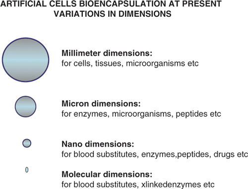 Figure 2. Artificial cells in the macro, micro, nano, and molecular dimensions.