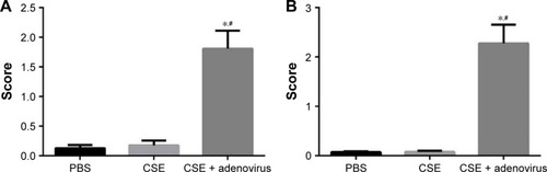 Figure 4 Semi-quantitative inflammation scores in (A) peribronchial and (B) perivascular sections in lung tissues from experimental groups.