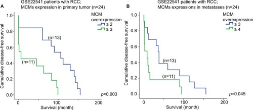 Figure 7 Survival analysis of MCM2-7 genes. Kaplan–Meier survival curves for number of MCM2-7 genes expressing at high level in RCC (A) primary tumor and (B) metastases for disease-free survival in GSE22541 dataset.