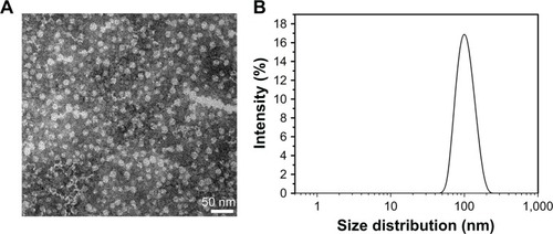 Figure 2 (A) TEM image of Dex-SA-FFFE nanoparticles and (B) size distribution of Dex-SA-FFFE nanoparticles.Abbreviation: Dex-SA-FFFE, dexamethasone-peptide conjugate.