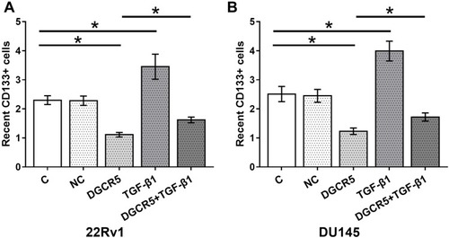 Figure 5 DGCR5 over-expression decreased the stemness of PC cells through TGF-β1. Cell stemness assay was performed to analyze the effects of DGCR5 and TGF-β1 over-expression on PC cell stemness. DGCR5 over-expression led to significantly decreased stemness (percentage of CD133+ cells) of PC cells, TGF-β1 treatment played a reverse role and attenuated the effects of DGCR5 over-expression on stemness of both 22Rv1 (A) and DU145 (B) cells (p<0.05), (*p<0.05).