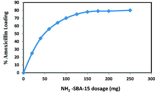 Figure 14. Effect of NH2-SBA-15 dosage on amoxicillin loading at initial concentration of amoxicillin 20 mg/L and at contact time 12 h.