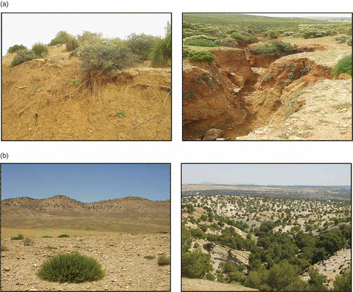Fig. 3 Soil cover characteristics. Bedrock exposed at the surface at a small (a) and at a large scale (b) in the observation area.