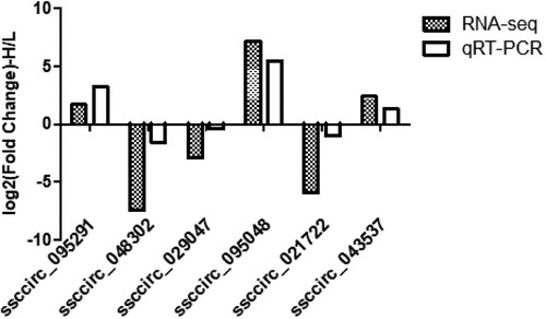 Figure 5. The qRT-PCR validation of the six selected differentially expressed circRNAs in the hypothalamus.