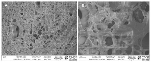 Figure 5 SEM images of 3D porous chitosan with nHA and magnetically synthesized B-SWCNTs: (A) low and (B) high magnifications.