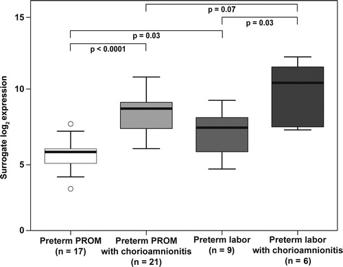 Figure 2.  Calgranulin B mRNA expression in the fetal membranes of patients with spontaneous preterm labor intact membranes or preterm prelabor rupture of membranes (PPROM). The expression was increased in patients with preterm labor intact membranes (7.9-fold, p = 0.03) or in those with PPROM (7.6-fold, p < 0.0001) when histologic chorioamnionitis was present. The amount of calgranulin B mRNA was higher in the fetal membranes of patients presenting with preterm labor with intact membranes without histologic chorioamnionitis than in those with PPROM without histologic chorioamnionitis (2.7-fold, p = 0.03). There was no difference in calgranulin B mRNA expression in the fetal membranes between patients with preterm labor with intact membranes or PPROM when histologic chorioamnionitis was present (p = 0.07).