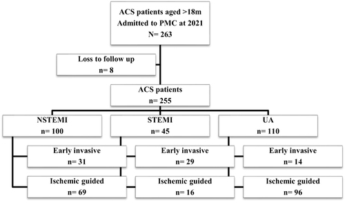 Figure 1 Flow chart of inclusion and exclusion criteria, and distribution of treatment strategies applied to different ACS types.