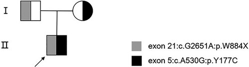 Figure 2. Family pedigree. The circle represents a female and squares represent males. The arrow indicates the index patient. Both the mother and the father of the patient are asymptomatic carriers.