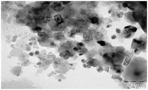Figure 6. TEM image of lyophilized SLN powder (FC3 formulation).