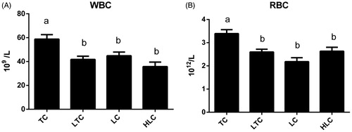 Figure 1. Relative expression levels of white blood cell (WBC) count (A) and red blood cell (RBC) count (B) in four chicken populations. Data are shown as the mean ± SE from six independent experiments. The bars without the same letter indicate differences significant at p < .05. TC: Tibetan chicken; LTC: Tibetan chicken reared at low altitude; LC: Peng County yellow chicken; HLC: Baoxing native chicken reared at high altitude.
