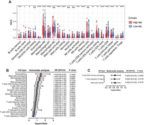 Figure 8 Correlation between immune infiltration and the six-gene signature. Relative abundance of immune cell types in the high- and low-risk groups (A). Univariate (B) and multivariate (C) Cox regression analyses showed that activated memory CD4 T cells, regulatory T cells and resting mast cells were positive independent prognostic factors.