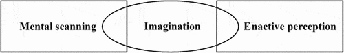 Figure 7. The interaction of imagination with enactive perception and mental scanning in Vietnamese FM constructions.