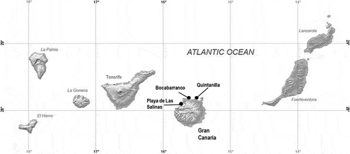 Fig. 1. Map indicating the study sites of Playa de Las Salinas, Bocabarranco and Quintanilla at Gran Canaria (Canary Islands, Atlantic Oceans)