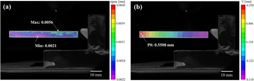 Figure 4. Data quality evaluation and depositional deformation analysis of DIC in-situ monitoring. (a) Measuring error evaluation; (b) Displacement field and location of sampling point P0.