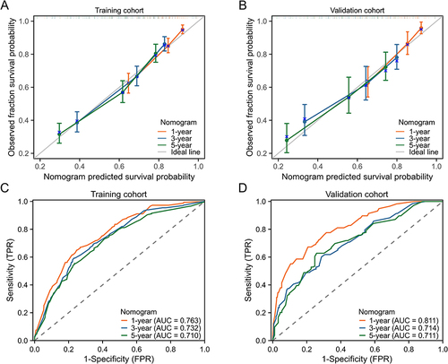 Figure 4 Evaluation of the performance of the nomograms in the training cohort and validation cohort. (A) Calibration curves of the nomogram predicting 1-, 3- and 5-year OS in the training cohort. (B) Calibration curves of the nomogram predicting 1-, 3- and 5-year OS in the validation cohort. (C) ROC curves of the nomogram predicting 1-, 3- and 5-year OS in the training cohort. (D) ROC curves of the nomogram predicting 1-, 3- and 5-year OS in the validation cohort.