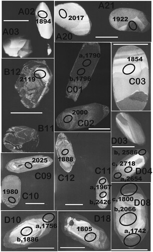 Figure 4. Selected zircon grains from dump sample D interpreted as an altered quartzite rock. These grains show variable grain shapes and internal (cathodo-luminescence) structures, as further discussed in the text. The ovals shown with a sample code correspond to SIMS spots in analysed grains (see Table 3). Obtained 207Pb/206Pb ages (in Ma) are indicated with four digits.