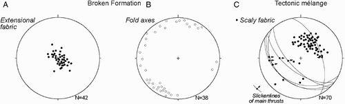 Figure 7. Mesoscale data (Schmidt net, lower hemisphere) of the extensional scaly fabric (A) and fold axes (B) of the Argille varicolori broken formation, and the scaly fabric (C) of the Argille varicolori tectonic mélange.