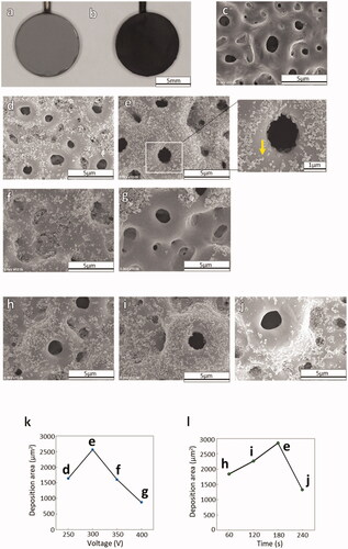 Figure 3. Photographs of (a) bare AnTi and (b) CNH-deposited AnTi. SEM images of (c) bare ANTi and CNH/AnTi prepared by electrodeposition of CNHs for 180 s duration at DC voltages of (d) 250, (e) 300, (f) 350, and (g) 400 V. Yellow arrow: CNHs. SEM images of CNH/AnTi prepared at a DC voltage of 300 V for durations of (h) 60, (i) 120 and (j) 240 s. The graph of CNH deposition area for 180 s duration (k). The graph of CNH deposition area at 300 V of applied voltage (l).