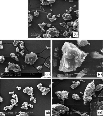 Figure 5. SEM images of (a) DABA, (b) α-CD, (c) β-CD, (d) DABA:α-CD and (e) DABA:β-CD inclusion complexes.