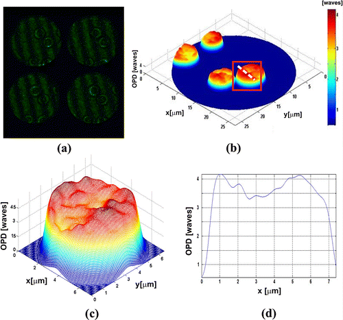 Figure 5. Human red blood cells (a) π/2-shifted interferograms captured in a single shot. (b) OPD of sample of RBC. (c) OPD of single RBC. (d) Transversal section of  RBC.