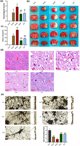 Figure 5 Effects of Naotaifang III on the cerebral injury.