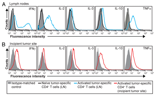 Figure 4. Intracellular cytokine expression in activated tumor-specific CD4+ T cells. (A and B) T-cell receptor (TCR)-transgenic SCID mice (n = 6–12) were injected s.c. with MOPC315 myeloma cells in Matrigel. Eight d later, cytokine expression in tumor-specific (GB113+) CD4+ T cells was analyzed by intracellular flow cytometry, upon stimulation in vitro with ionomycin/phorbol myristate acetate (PMA) in the presence of monensin for 4 h. (A) Cytokine expression in activated tumor-specific CD4+ T cells in tumor-draining lymph nodes (LNs) (blue curves). For comparison, naïve tumor-specific CD4+ T cells from pooled LNs are shown (black curves). (B) Cytokine expression in tumor-specific (GB113+) T cells at incipient neoplastic lesions (Matrigel plugs) (red curves). Filled gray areas indicate isotype-matched control stainings. Data are representative of 2–3 experiments.