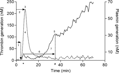 Figure 1. Simultaneous thrombin and plasmin generation. (A) First derivative of TG (−−−−) and PG (––––) experiment derived from a measurement in a single well. Thrombin generation signal was divided in four parameters: (1) lag time (minute), (2) thrombin peak time (minute), (3) thrombin peak height (nM), (4) area under the curve (AUC) (nM-minute). PG yielded three parameters: (5) the plasmin peak (nM), (6) the fibrin lysis time (FLT) (minute) and (7) plasmin potential (nM-minute). Surrogate peak time is marked by * and plasmin peak time is marked by #.