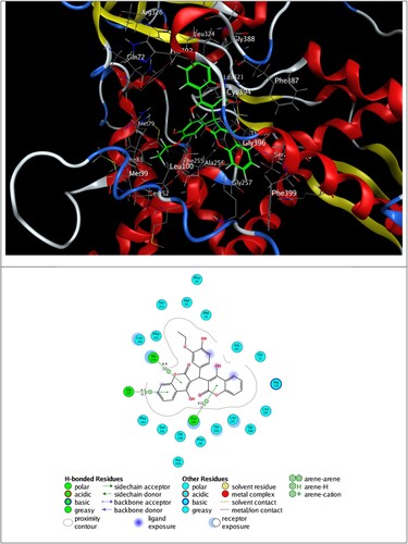 Figure 8. 3D best pose of 2e ligand in Mycobacterium tuberculosis-CYP51 (1EA1) target enzyme (top) along with 2D ligand–protein interactions (bottom).
