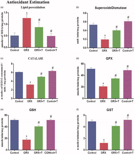 Figure 2. (a) Illustrates the lipid peroxidation level in the hippocampus of control and various experimental groups. The values are expressed in μmol of MDA formed/mg protein. (b) Graphs show the superoxide dismutase (SOD) level in control and other experimental groups. The values are expressed in units/mg of protein. (c) Depicts the catalase level in the hippocampus from various experimental groups. The values are expressed in μmol of H2O2 consumed/min/mg protein. (d) The glutathione peroxidase (GPx) level in control and other groups. The values are expressed in nmol of GSH consumed/min/mg protein. (e) Represents reduced glutathione (GSH), and values are expressed in nm/min/mg protein. f) Illustrates the glutathione-S-transferase (GST) level in the hippocampus of various experimental groups. The values are expressed in μmol of CDNB-NADPH complex formed/min/mg protein. *p ≤ .05 versus Control group, #p ≤ .05 versus ORX group. Values represent mean ± SEM (n = 6/Group).