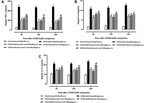 Figure 6 Hepatic (A) Tumor necrosis factor-α, (B) Interleukin-6 and (C) Interleukin-1β of normal control, LPS/D-GalN and LPS/D-GalN + treatment groups. The values are mean ± SEM (n=6). Statistical analysis was done one-way analysis of variance (ANOVA) followed by Bonferroni post hoc test for all groups in respective hours. The results are considered significant *If p < 0.05. *Indicates p < 0.05 vs normal control, #Indicates p < 0.05 vs LPS/D-GalN, $Indicates p < 0.05 vs LPS/D-GalN + Ascorbic acid, !Indicates p < 0.05 vs LPS/D-GalN + Silymarin (25mg/kg).