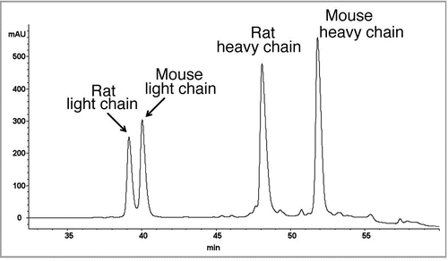 Figure 3 Reversed-phase chromatogram with UV absorbance at 214 nm of the reduced antibody. The catumaxomab sample was denatured using 6 M guanidine, reduced with DTTand alkylated using iodoaceteamide. The reduced and alkylated antibody chains were separated on a PLRP-S column (Varian) using an acetonitrile gradient from 27% to 42% over 40 minutes on a 1200 HPLC system (Agilent) coupled with an Agilent 6220 ESI-TOF mass spectrometer. The column temperature was 65°C and the flow rate was 200 µL/min. The raw mass spectra of the 4 antibody chains were converted using MassHunter deconvolution software for the calculation of the observed masses (see Table 1).